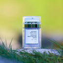 PRO:AGE MULTI PEPTIDE - Crème pour le visage